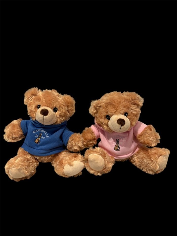 Waterville Teddy - Image 2