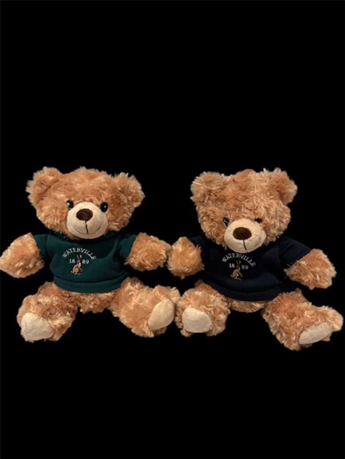 Waterville Teddy - Image 3
