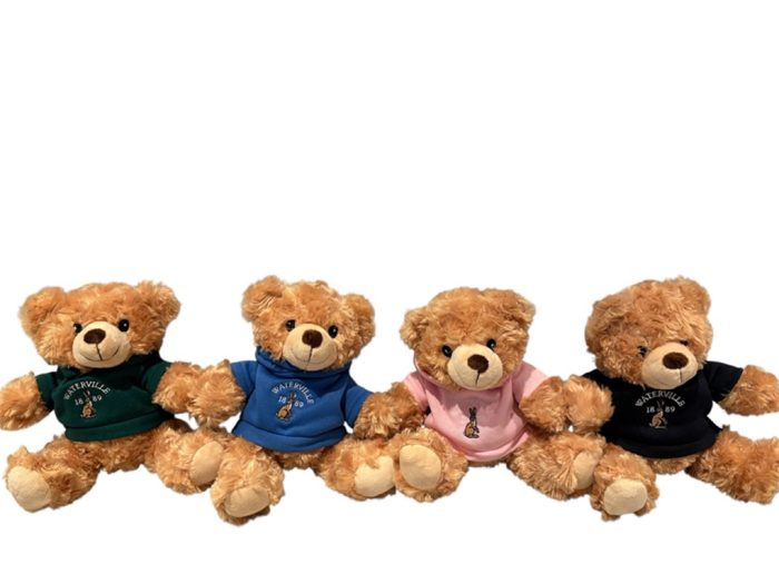 Waterville Teddy